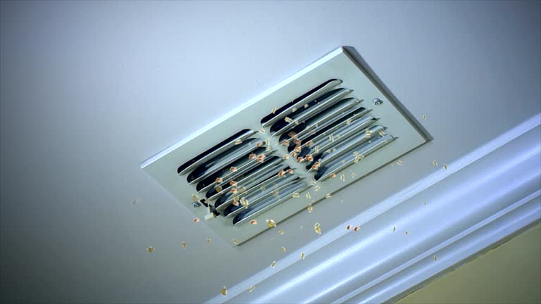 Best Air Vent Cleaning Services  in Shady Side, MD